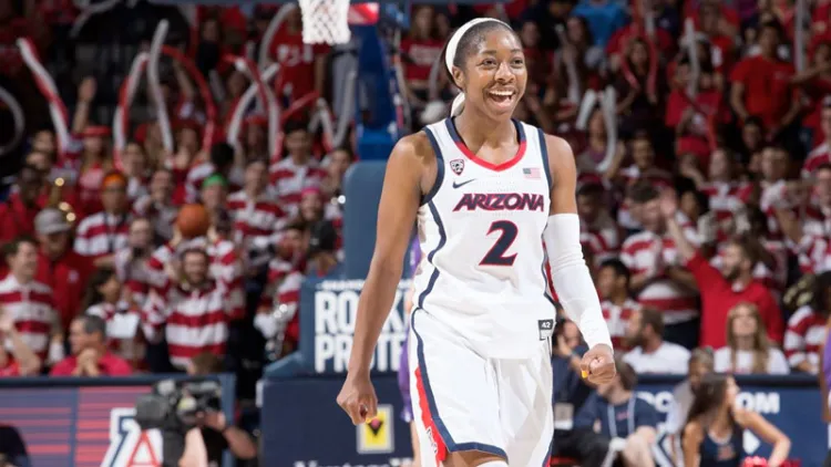 Regresa McDonald  con las Wildcats