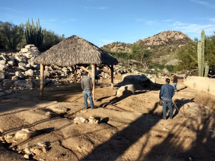 Realiza Cedes tareas de conservación en Delfinario, Centro Ecológico y Estero El Soldado