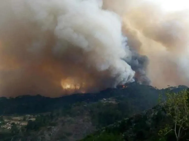 Incendios forestales azotan a 20 estados en plena pandemia