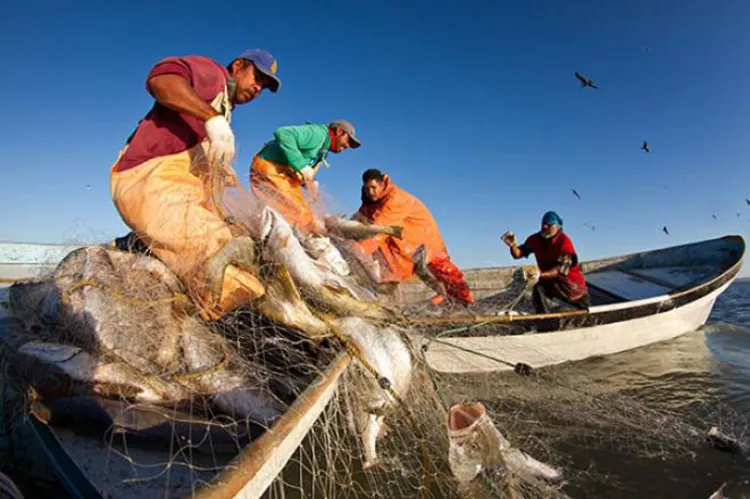 Padecen Pescadoras el cierre de mercados