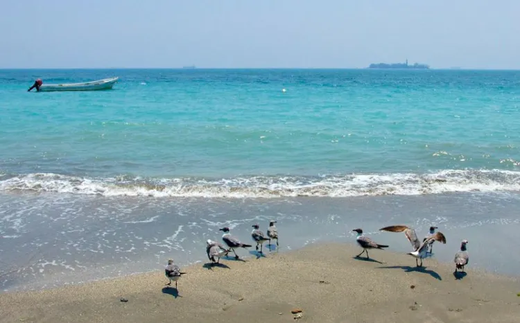 Por ausencia de turistas, playas de Veracruz se pintan de turquesa