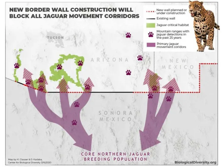 Ambientalistas presentan demanda contra muro de Trump