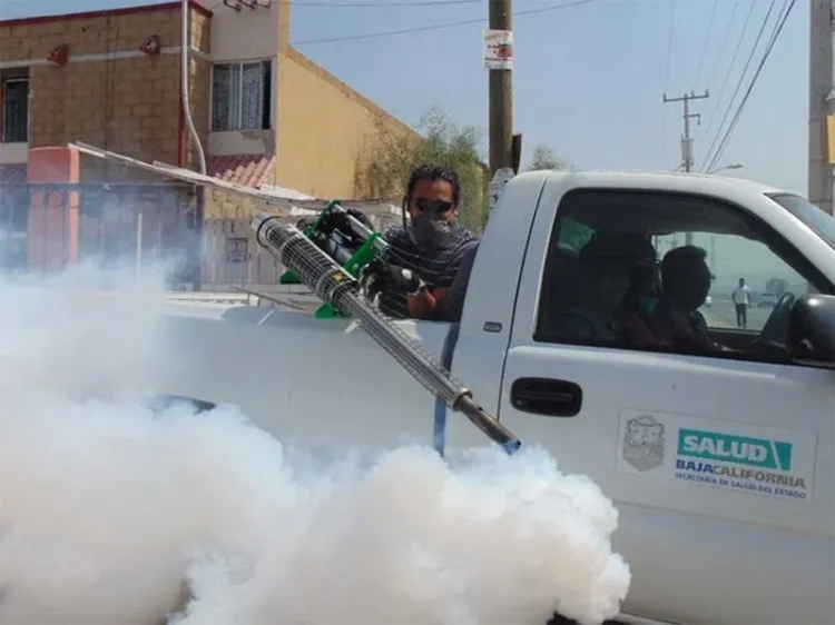 Fumigar calles o mercados no sirve y pone en riesgo la salud: OMS