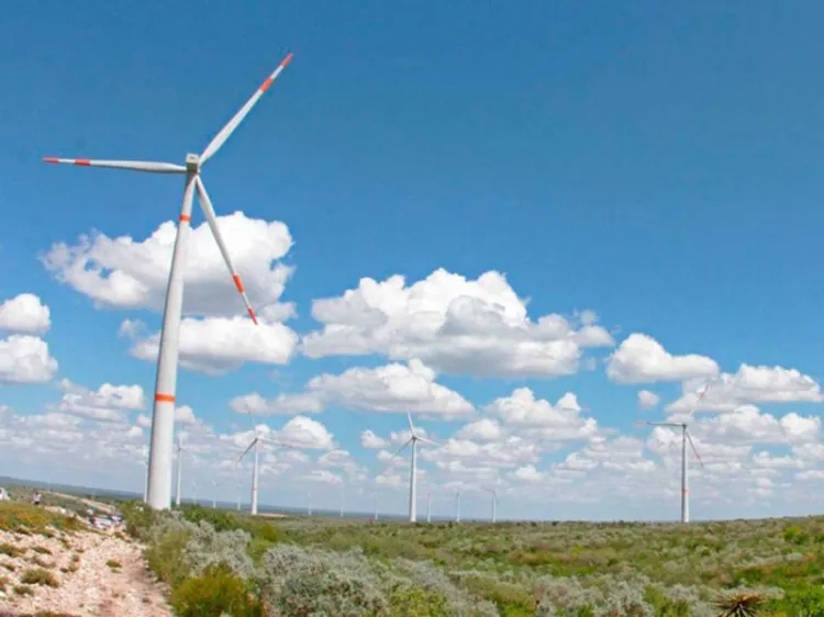 Va el PVEM en el Senado por impulso a energías limpias