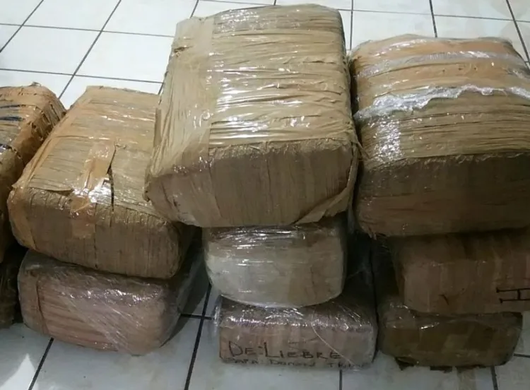 Decomisan carga de marihuana abandonada