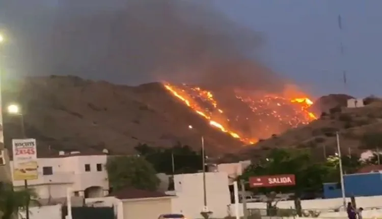 Incorporarán brigada contra incendios forestales