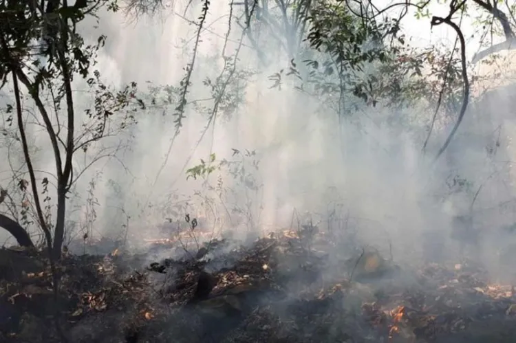 Profepa denuncia ante FGR a mujer que provocó incendio en Tepoztlán