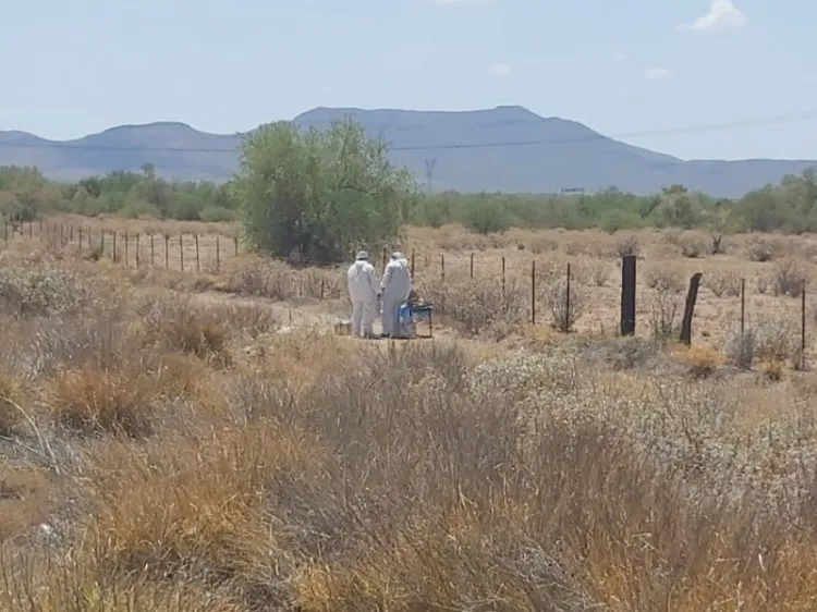 Localizan cuerpos de 5 hombres en Guaymas