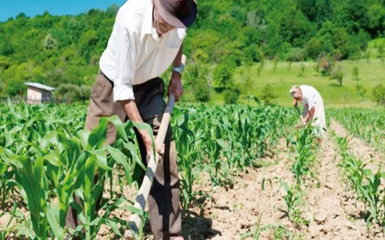 Prepara créditos la Sagarhpa en Sonora