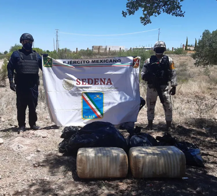 Aseguran 42 kilogramos de hierba verde en Nogales