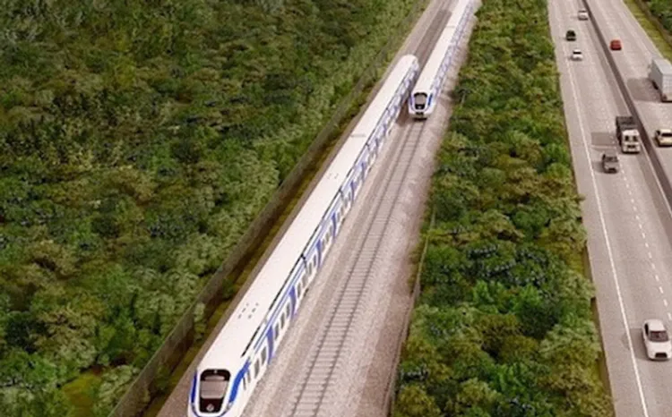 Derribarán 11 mil árboles en Fase 1 de Tren Maya: Fonatur