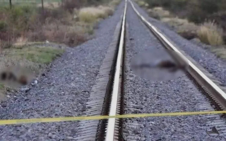 Buscadoras por la Paz hallan cuerpo en carretera Zamora-Pesqueira