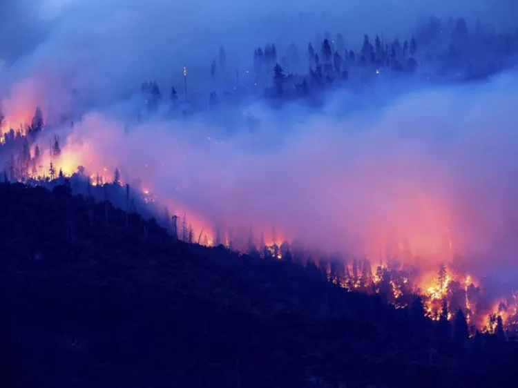 Pareja causa gran incendio en California al revelar género de su bebé