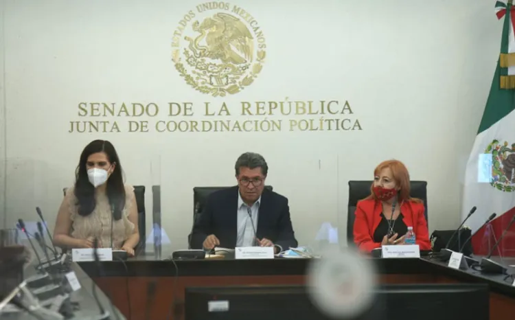 Comparece Rosario Piedra ante Senado