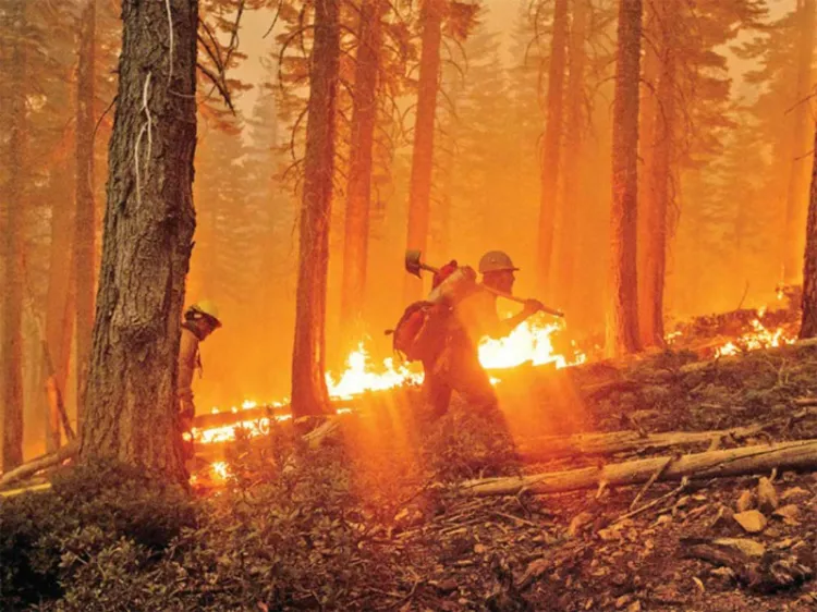 Valúan en 130 mmdd daños por fuego en California