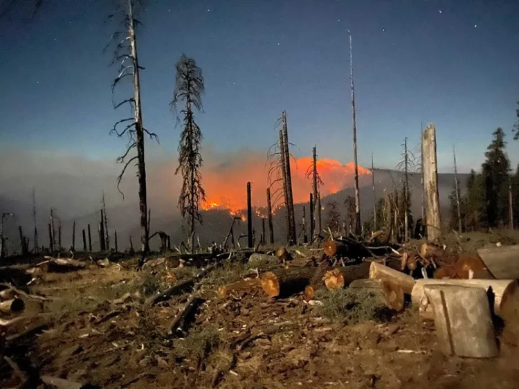 Incendios forestales en California cumplen un mes