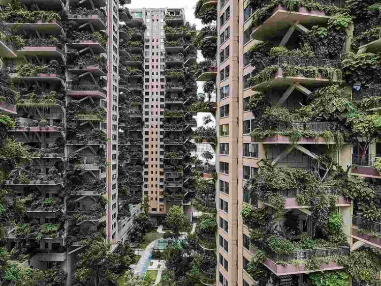 Plantas invaden edificios en China