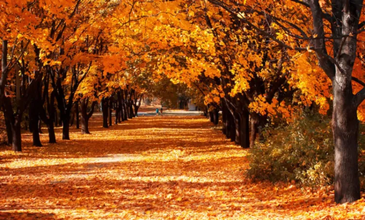 Hoy inicia el Otoño