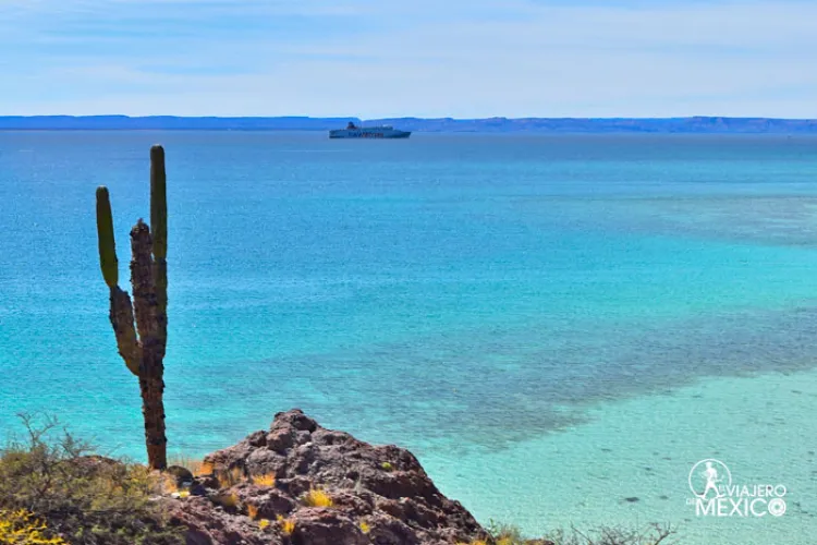 Hundirán buque en las aguas del Mar de Cortés