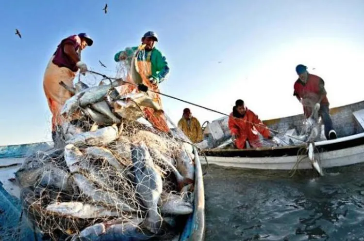 Acuerdo de Pesca requiere medidas adicionales: EDF de México