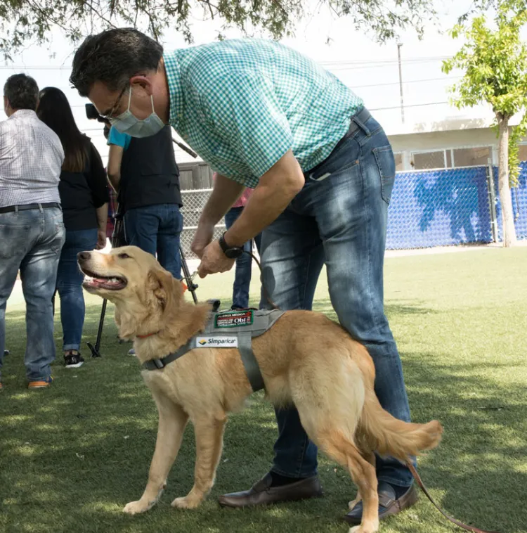 Tiene Sonora perros entrenados para detectar Covid-19: Clausen