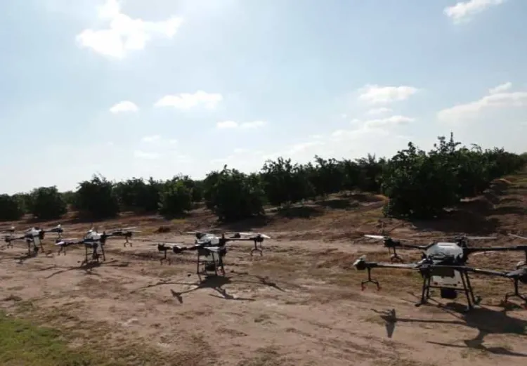 Utilizarán agricultores drones para fumigación de cultivos