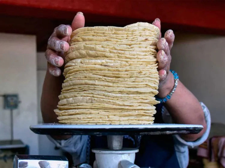 No hay porqué subir precio de la tortilla: Sheffield