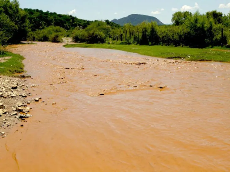 Niega GM responsabilidad en contaminación del Río Sonora