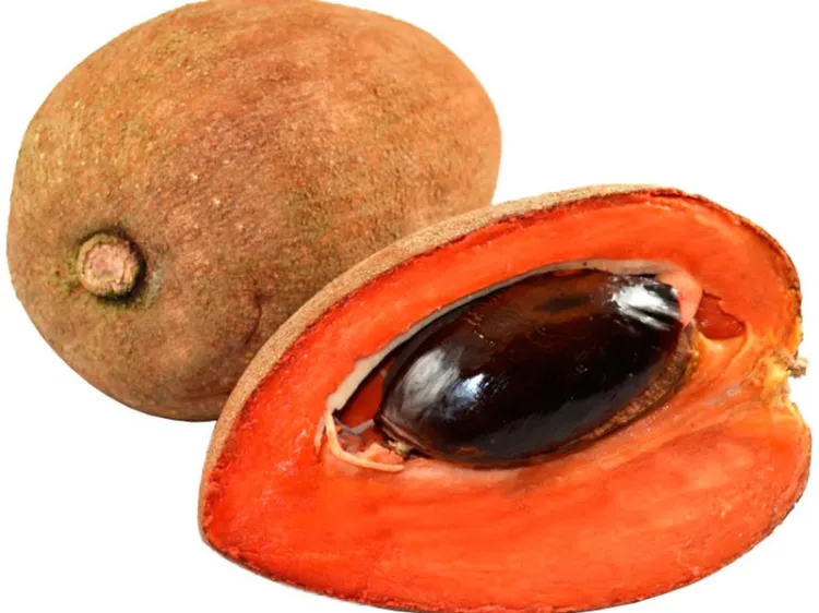 ¿Antioxidante y vitaminas A y C? Consume Mamey