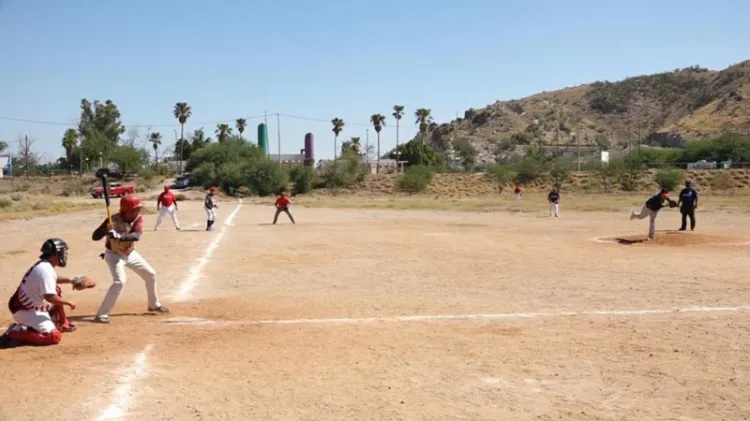 Ligas locales de beisbol se reactivarán hasta 2021