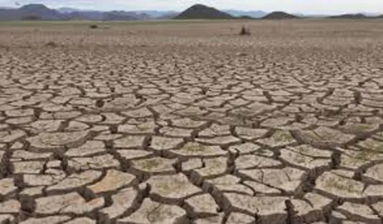 Emergencia deja fuera sectores agrícolas y ganaderos