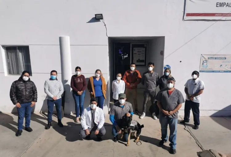 Realizan canes detectores de COVID-19 pruebas en Empalme y Guaymas