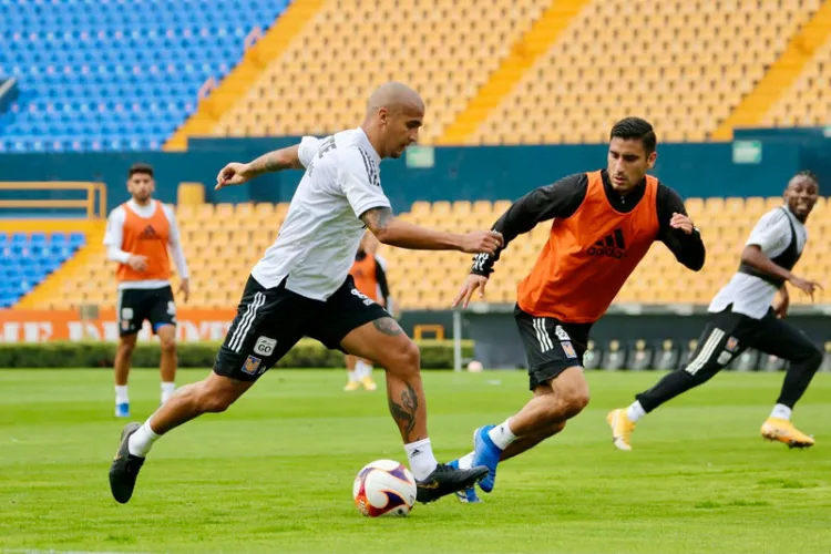 Tigres chocan  con el campeón