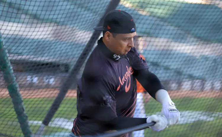 Choca Naranjeros con Sultanes