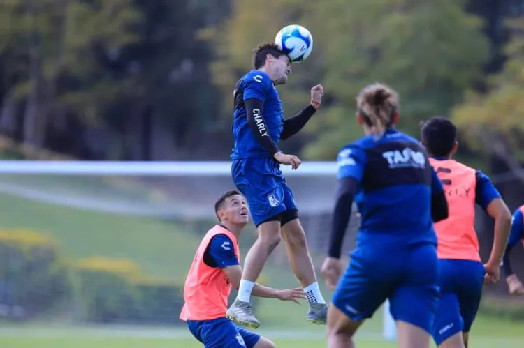 Gallos listos  para América