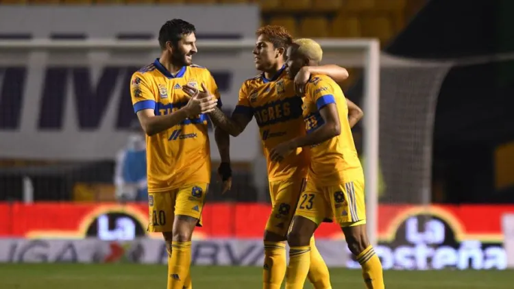 Sacan Tigres sufrido triunfo