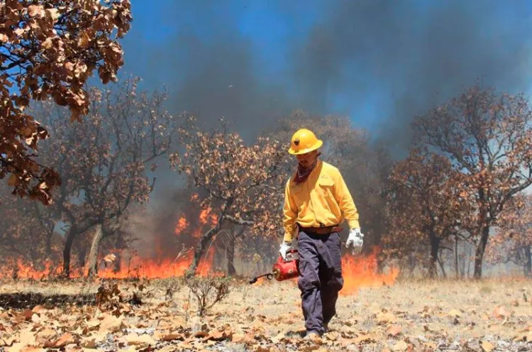 Van en Sonora cuatro incendios forestales