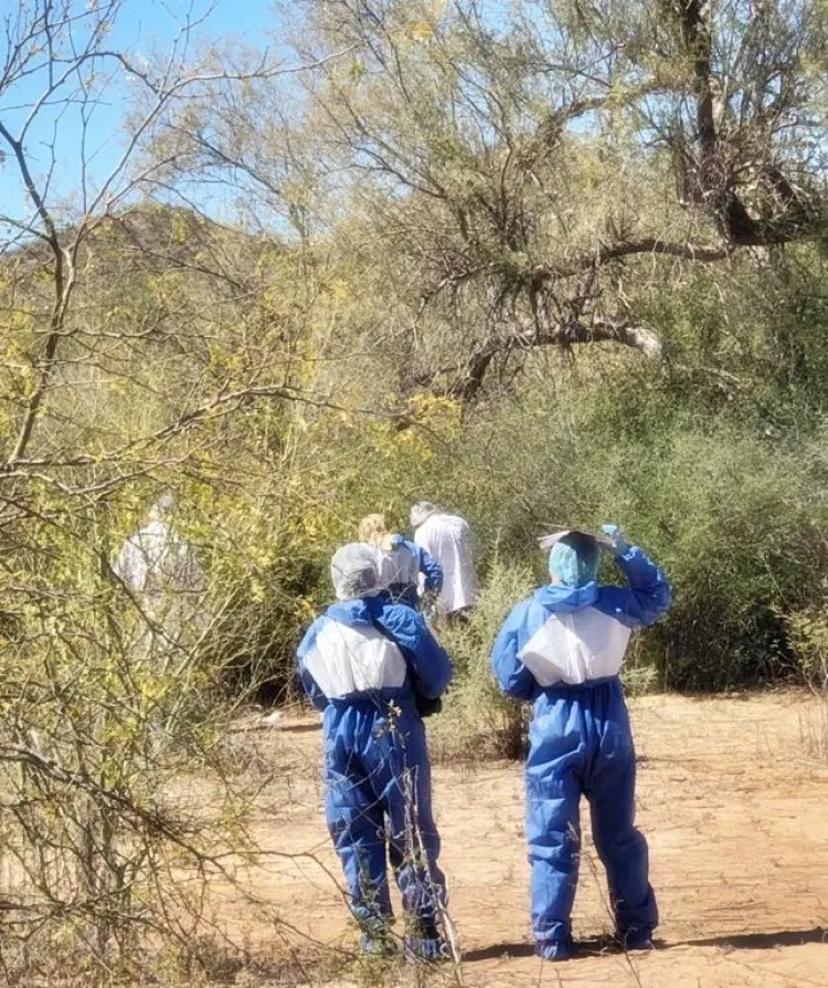 Hallan sin vida a joven desaparecida