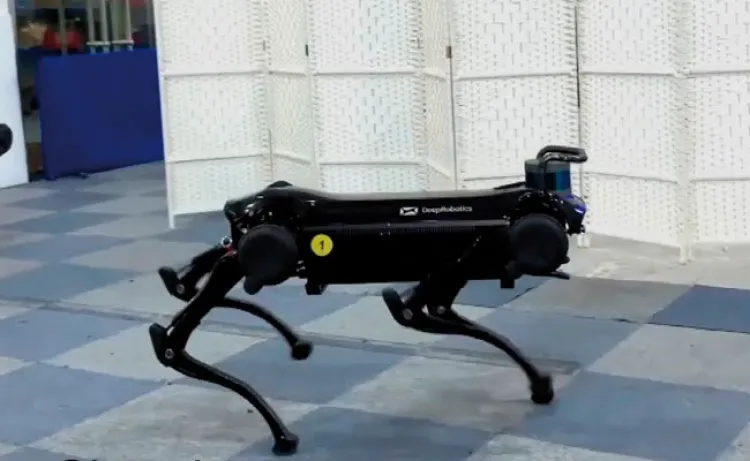 Perros-robot, la última moda tecnológica en China