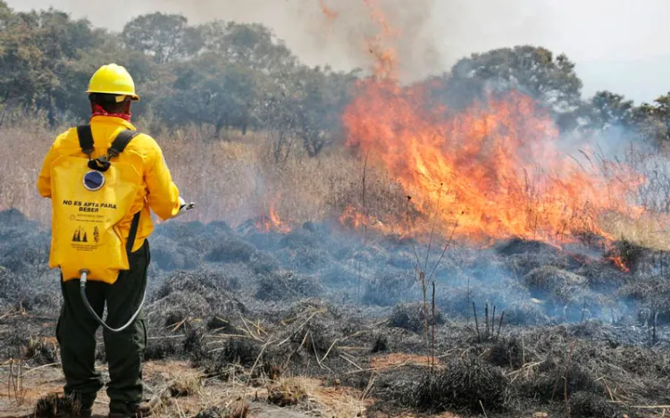Exhortan a evitar incendios forestales
