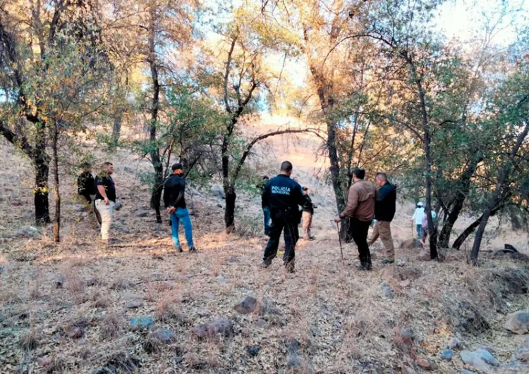 Encuentran “Madres Buscadoras de Sonora” ocho fosas clandestinas