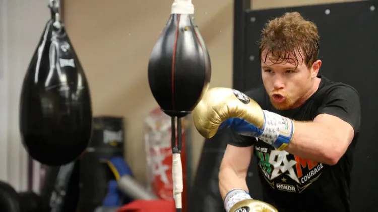 Canelo regresa a Texas