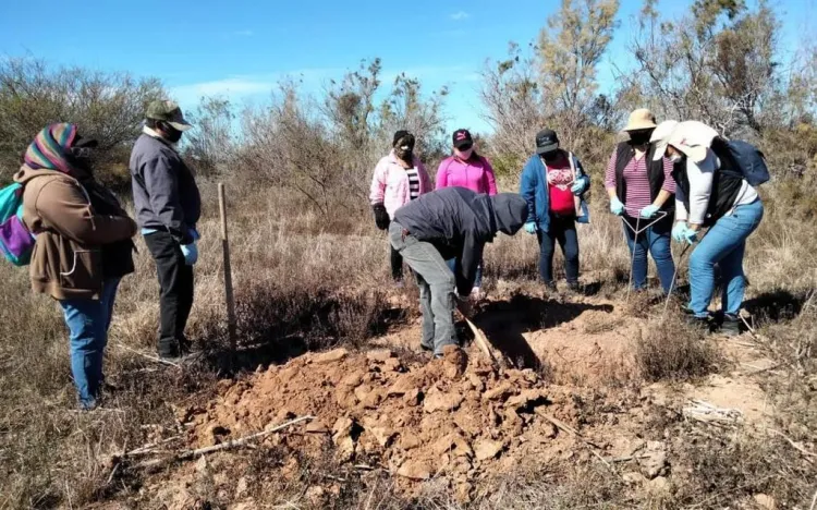 Esperan Madres Buscadoras de Sonora mayor apoyo del nuevo gobierno