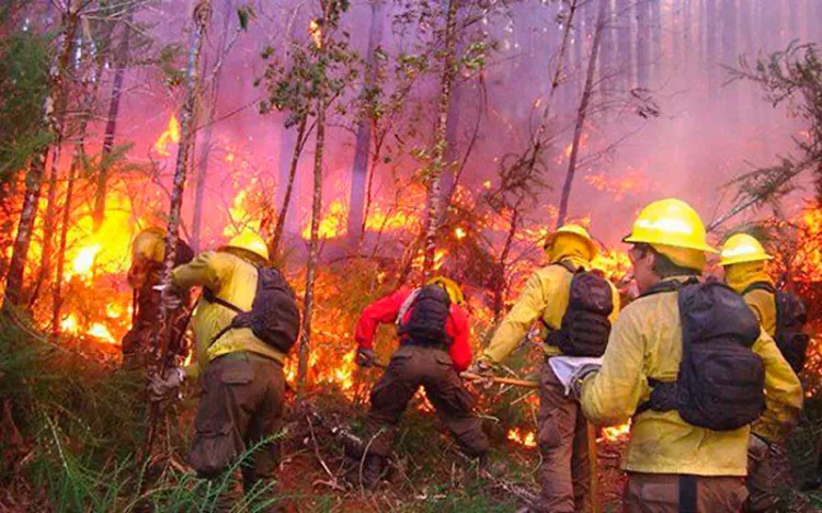 Aumentan incendios forestales
