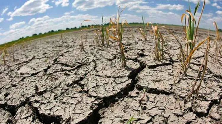 Persiste sequía pese a lluvias