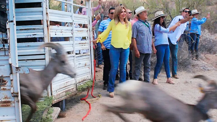 Con el esfuerzo de autoridades y productores