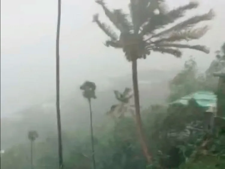 “Olaf” se degrada a tormenta tropical, continúa bordeando las costas de BCS