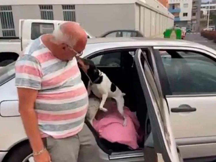 “Sin ellos no me voy”: hombre duerme en coche para no dejar a perritos en erupción
