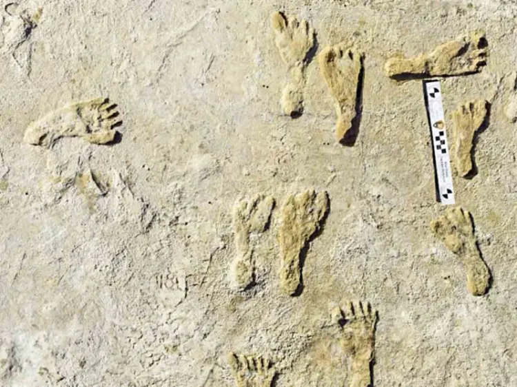 Descubren huellas humanas de hace 23 mil años en Nuevo México