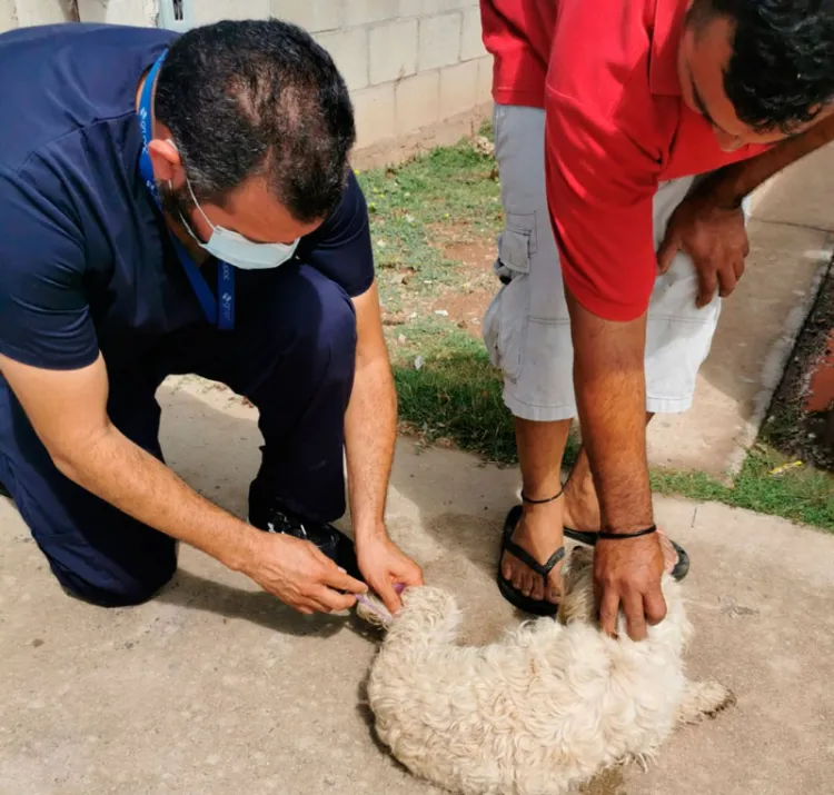 Realiza la Comuna campaña de vacunación contra la rabia